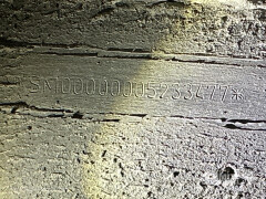 Schmitz Cargobull Reefer Meat hanging system 