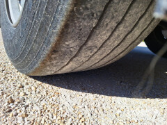 Schmitz Cargobull Reefer Standard 