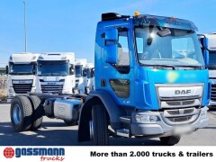 DAF LF 290 FA 4x2, Nebenantrieb, Navi 