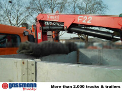 Andere Cityjet C60 4x2, EEV, Kran Fassi Fassi F22A.0.21 